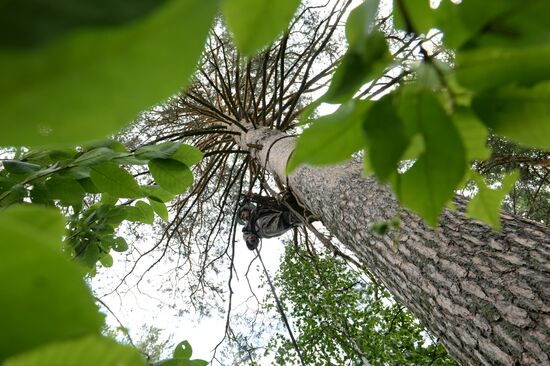 Shulgan-Tash state biosphere reserve in Bashkiria