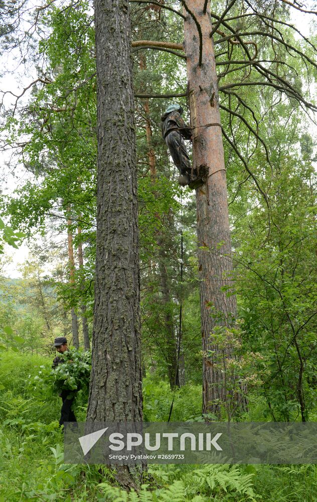 Shulgan-Tash state biosphere reserve in Bashkiria