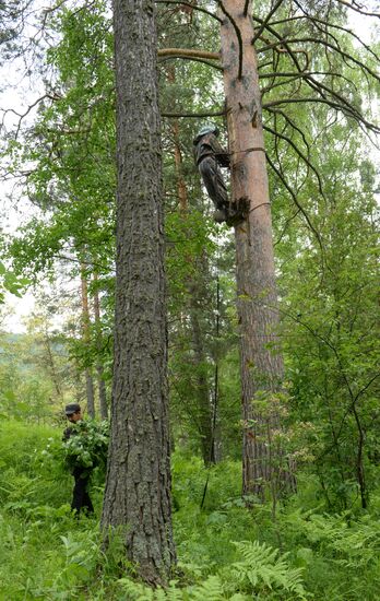 Shulgan-Tash state biosphere reserve in Bashkiria