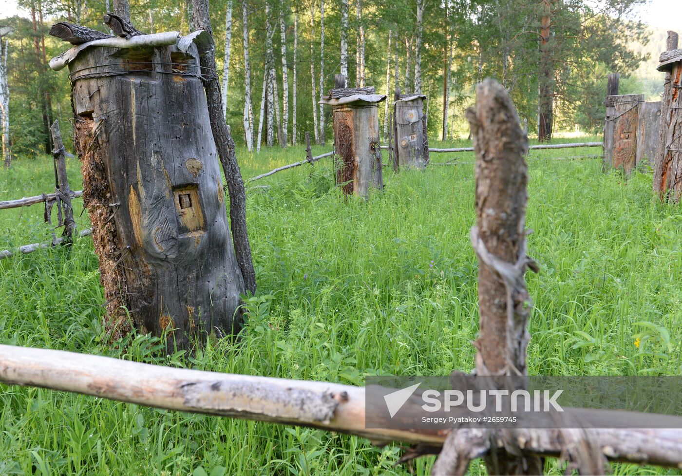 Shulgan-Tash state biosphere reserve in Bashkiria