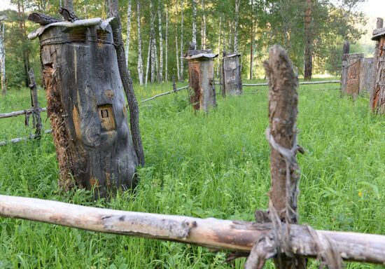Shulgan-Tash state biosphere reserve in Bashkiria