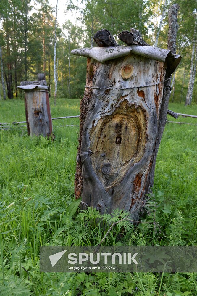 Shulgan-Tash state biosphere reserve in Bashkiria