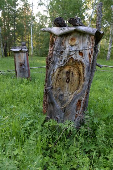 Shulgan-Tash state biosphere reserve in Bashkiria