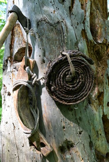 Shulgan-Tash state biosphere reserve in Bashkiria