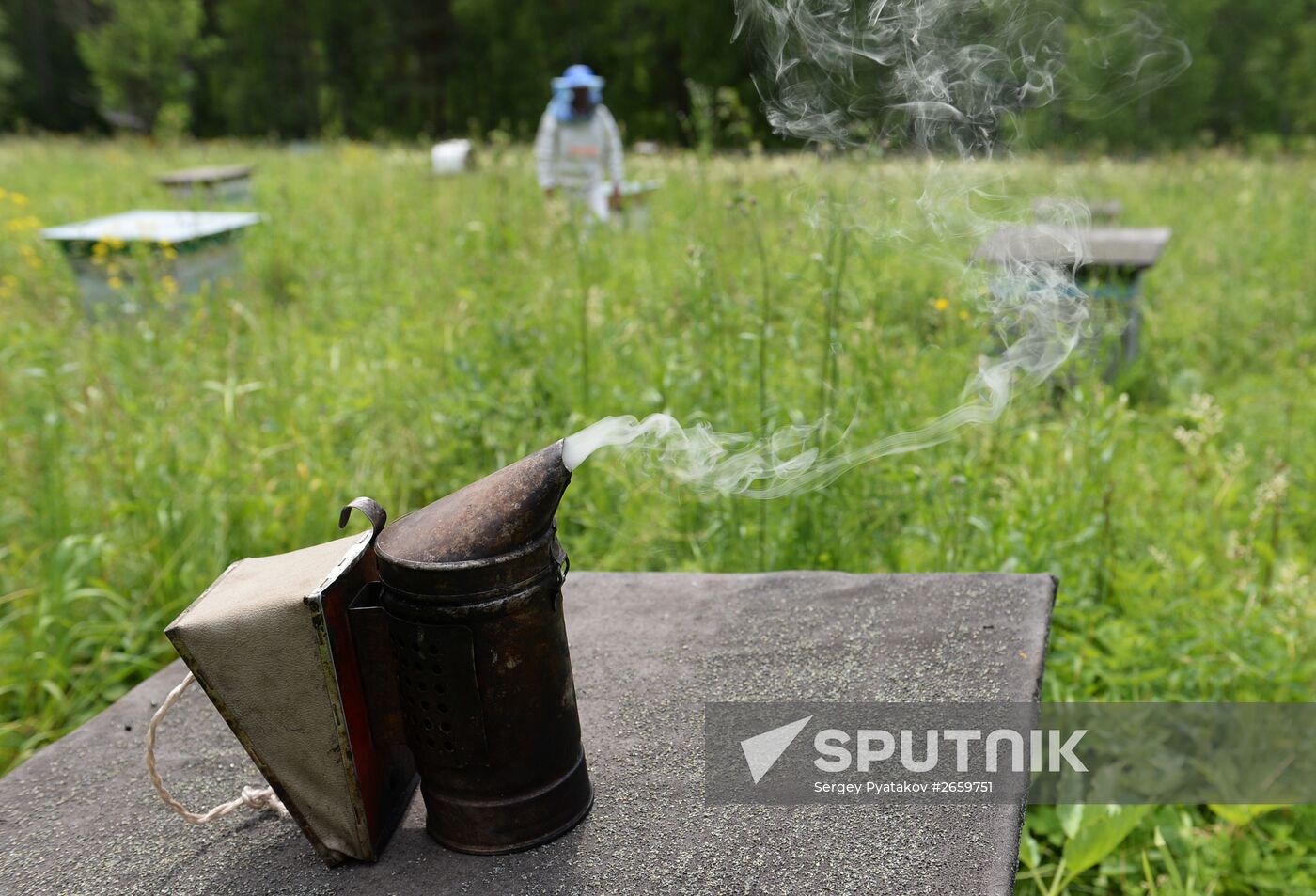 Shulgan-Tash state biosphere reserve in Bashkiria