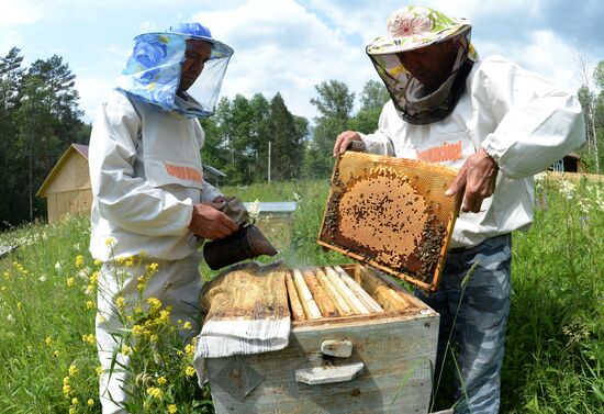 Shulgan-Tash state biosphere reserve in Bashkiria