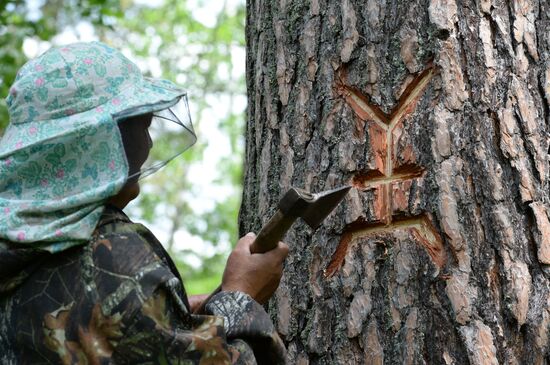Shulgan-Tash state biosphere reserve in Bashkiria