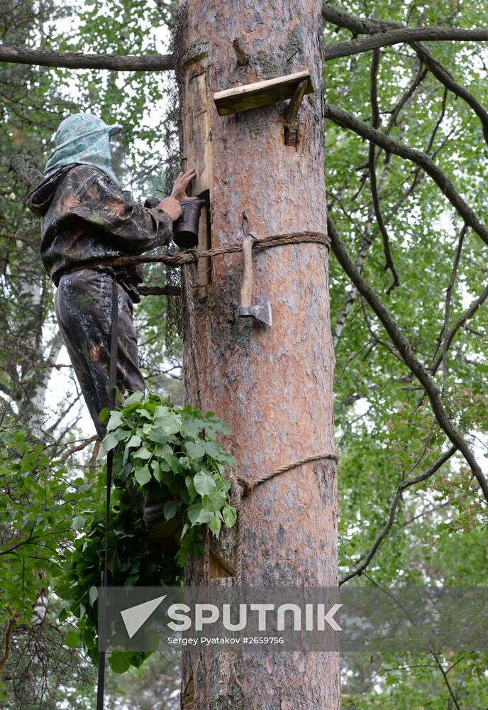 Shulgan-Tash state biosphere reserve in Bashkiria
