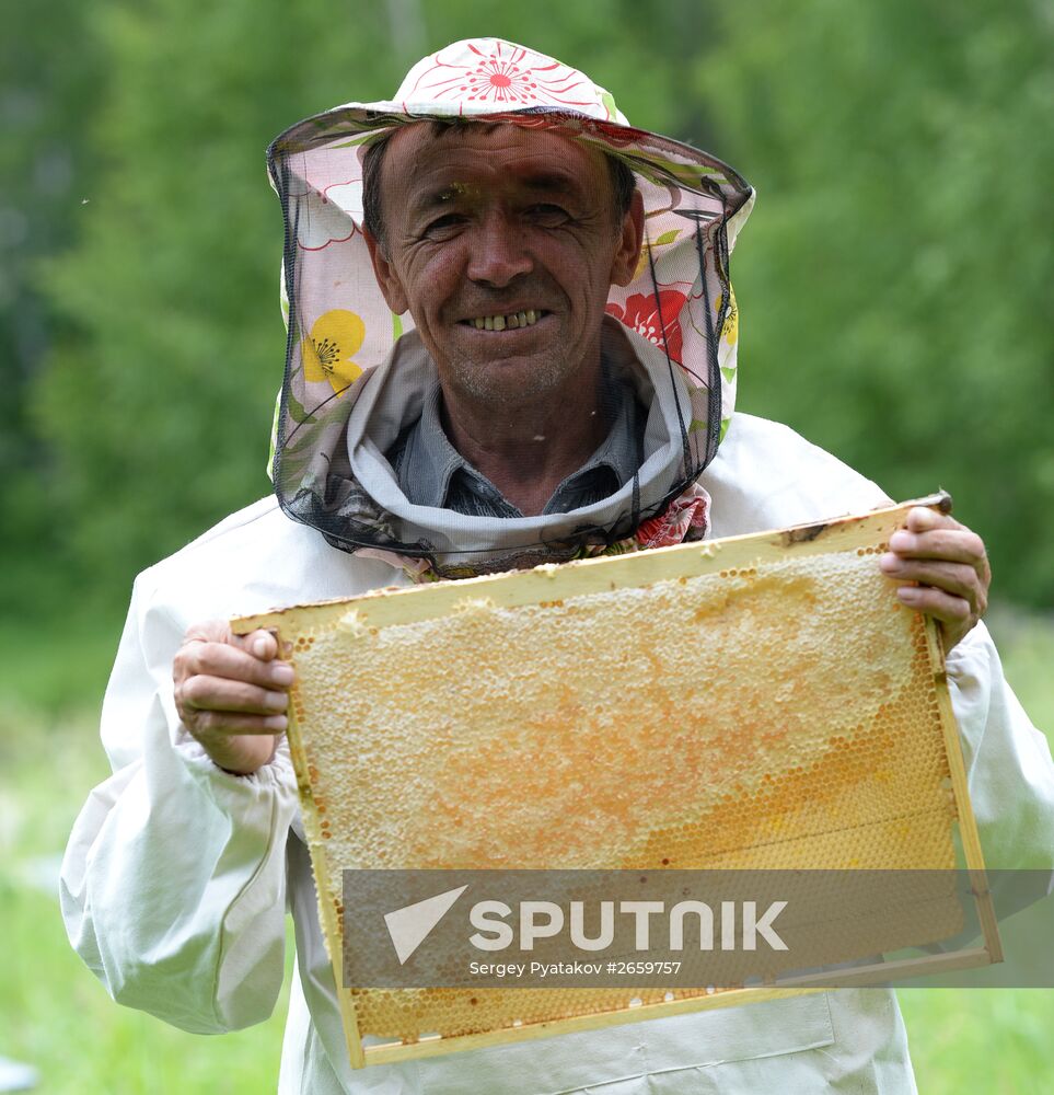 Shulgan-Tash state biosphere reserve in Bashkiria