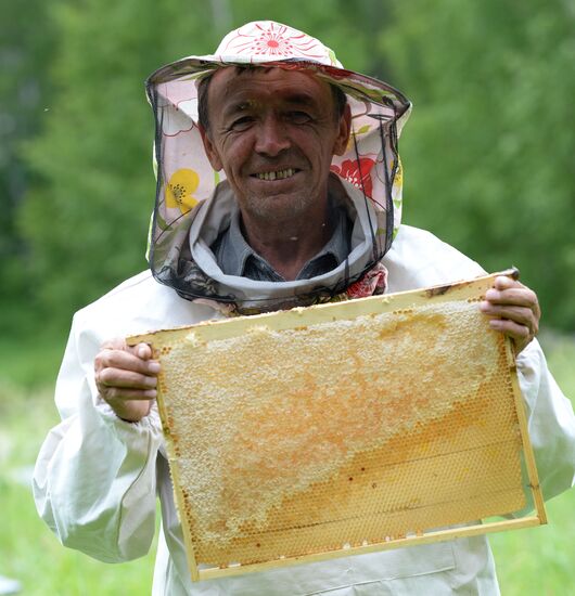 Shulgan-Tash state biosphere reserve in Bashkiria