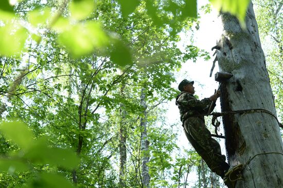 Shulgan-Tash state biosphere reserve in Bashkiria