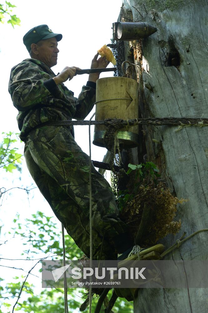 Shulgan-Tash state biosphere reserve in Bashkiria