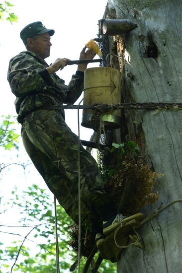 Shulgan-Tash state biosphere reserve in Bashkiria