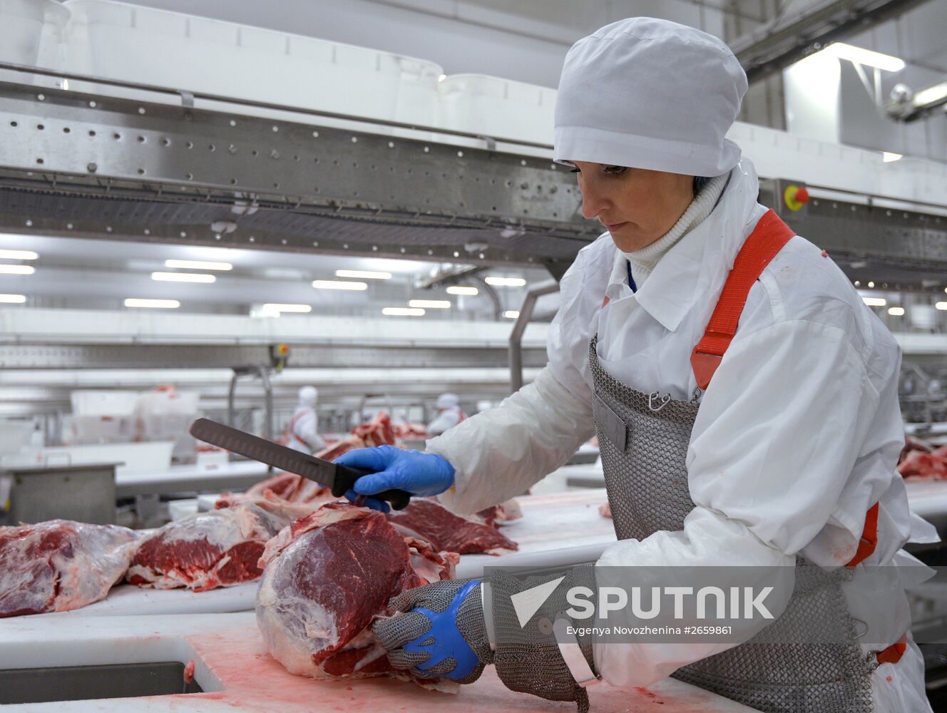 Meat factory of Miratorg agroindustrial holding company in Bryansk Region