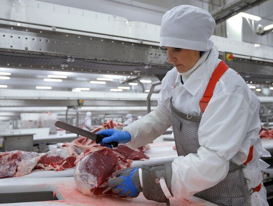 Meat factory of Miratorg agroindustrial holding company in Bryansk Region