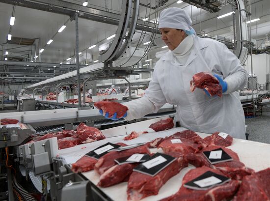 Miratorg Agro-Industrial Holding's meat processing facility in Bryansk Region