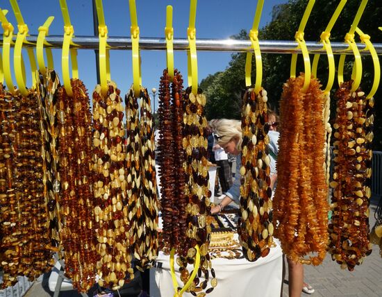 Cities of Russia. Svetlogorsk