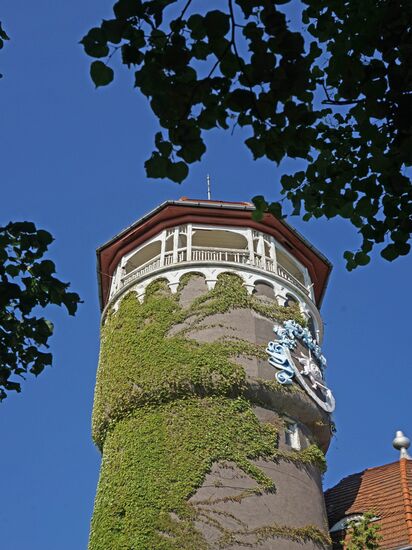 Cities of Russia. Svetlogorsk