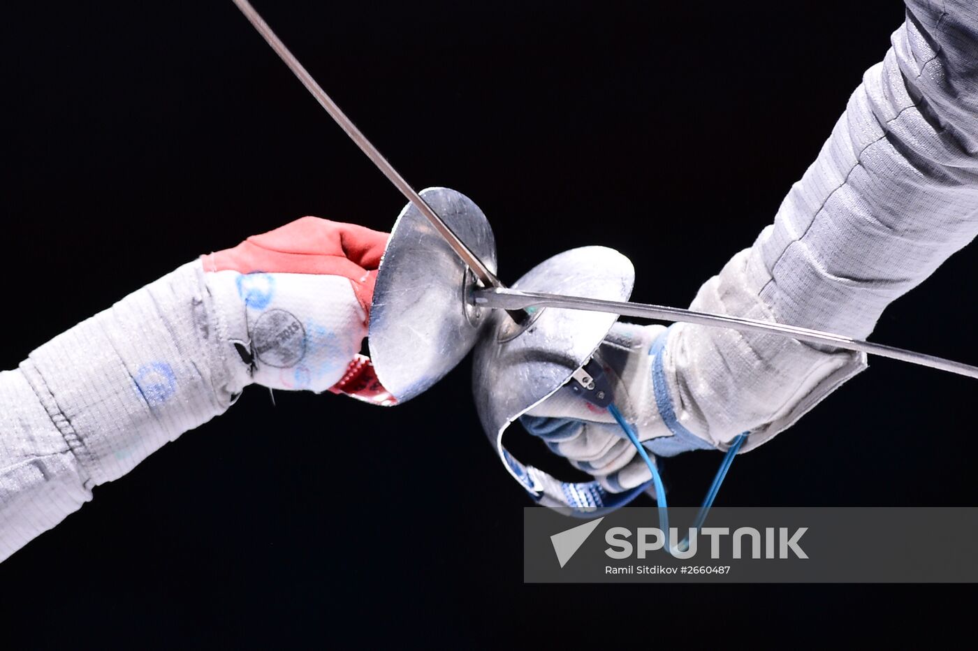 World Fencing Championships. Day Five