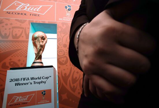 FIFA WOrld Cup arrives in St. Petersburg