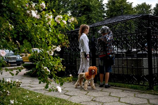 Cities of Russia. Kaliningrad