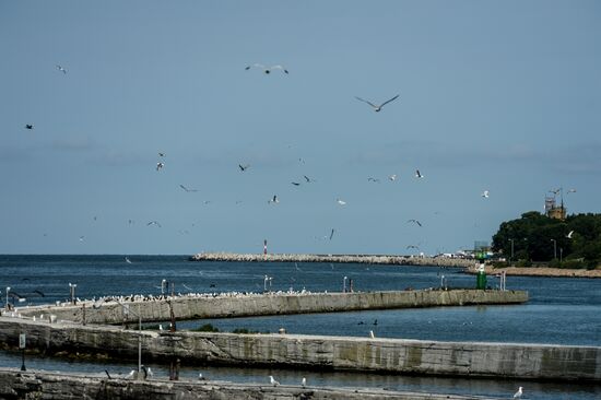 Cities of Russia. Baltiysk