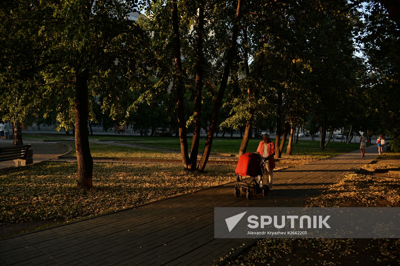 Summer in Novosibirsk