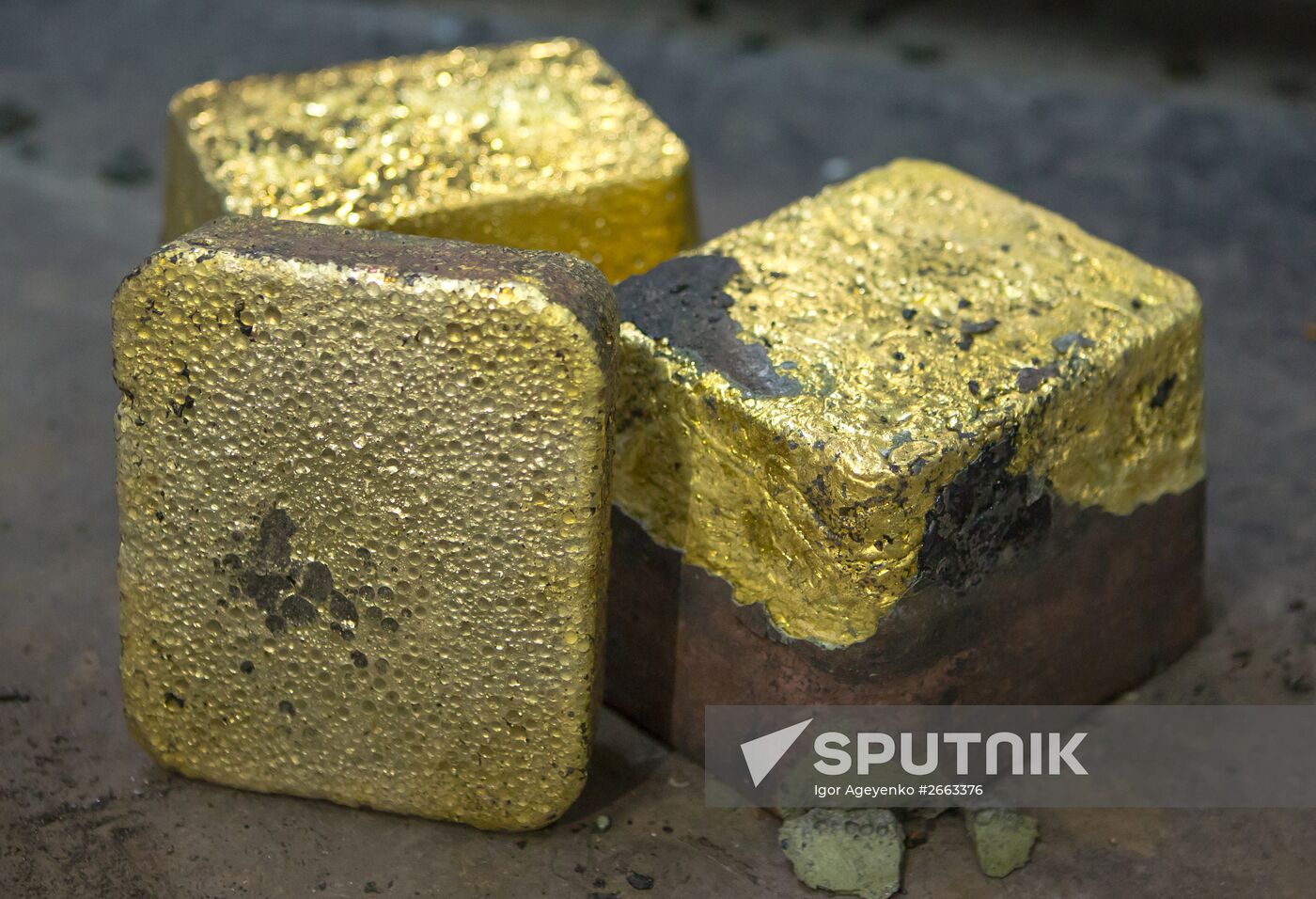 Gold fields in Amur Region