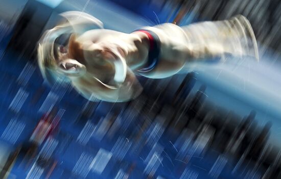 2015 FINA World Championships. Diving. Men's 1 m springboard