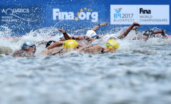 2015 FINA World Championships. Open water swimming. 5 km women