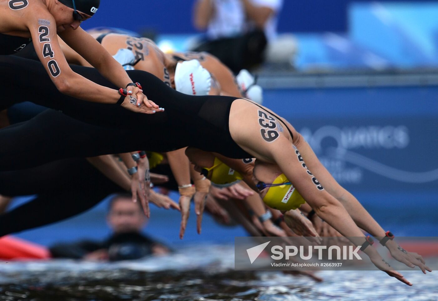 2015 FINA World Championships. Open water swimming. 5 km women