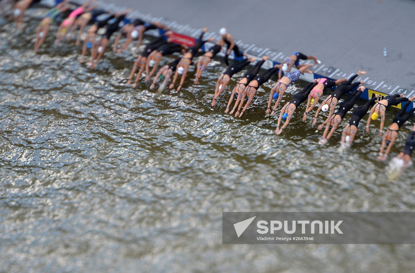 2015 FINA World Championships. Open water swimming. 5 km women