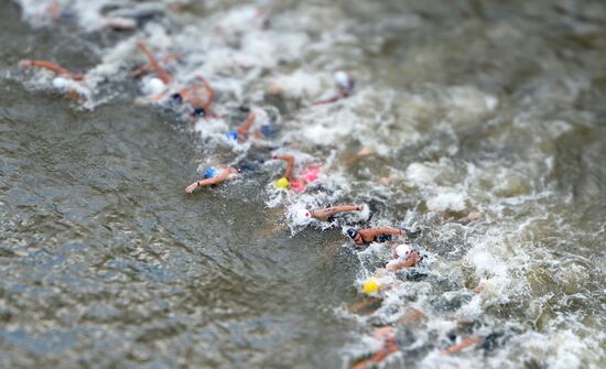2015 FINA World Championships. Open water swimming. 5 km women