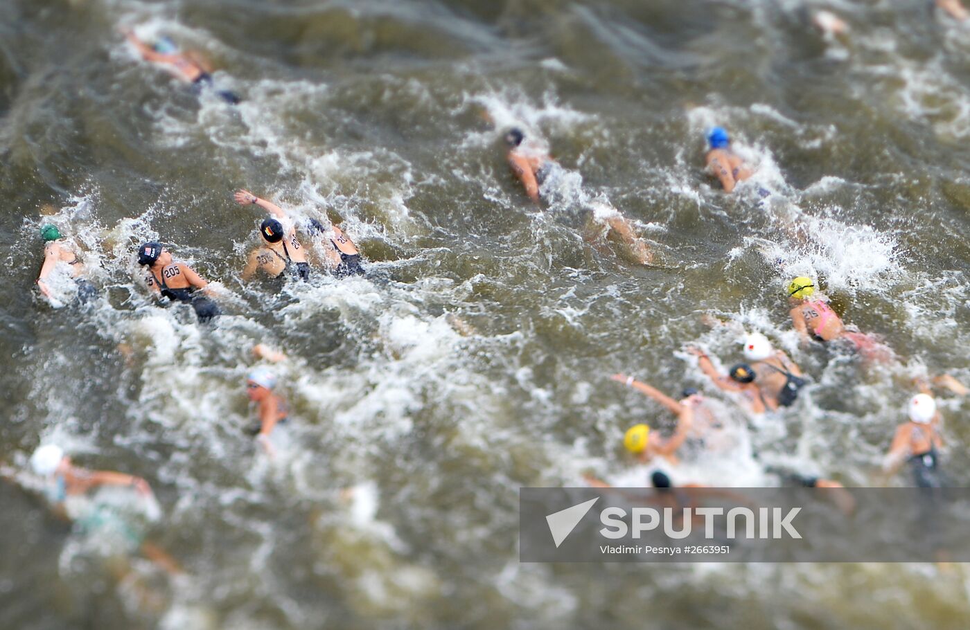 2015 FINA World Championships. Open water swimming. 5 km women