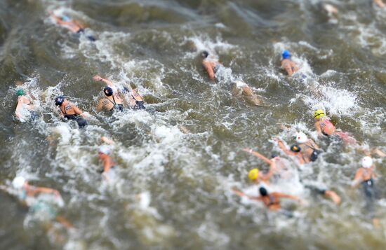 2015 FINA World Championships. Open water swimming. 5 km women