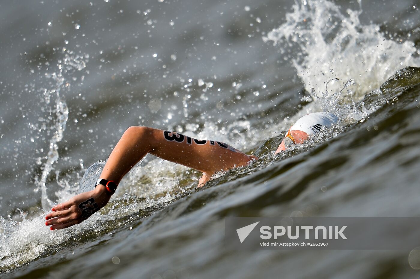 2015 FINA World Championships. Open water swimming. 5 km women