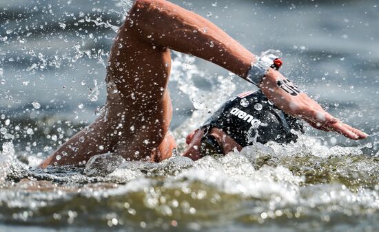 2015 FINA World Championships. Open water swimming. 5 km women
