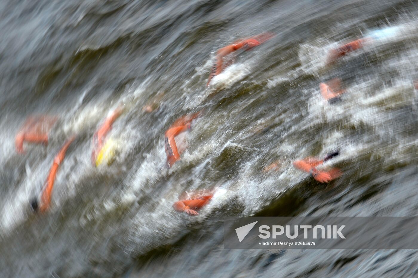 2015 FINA World Championships. Open water swimming. 5 km women