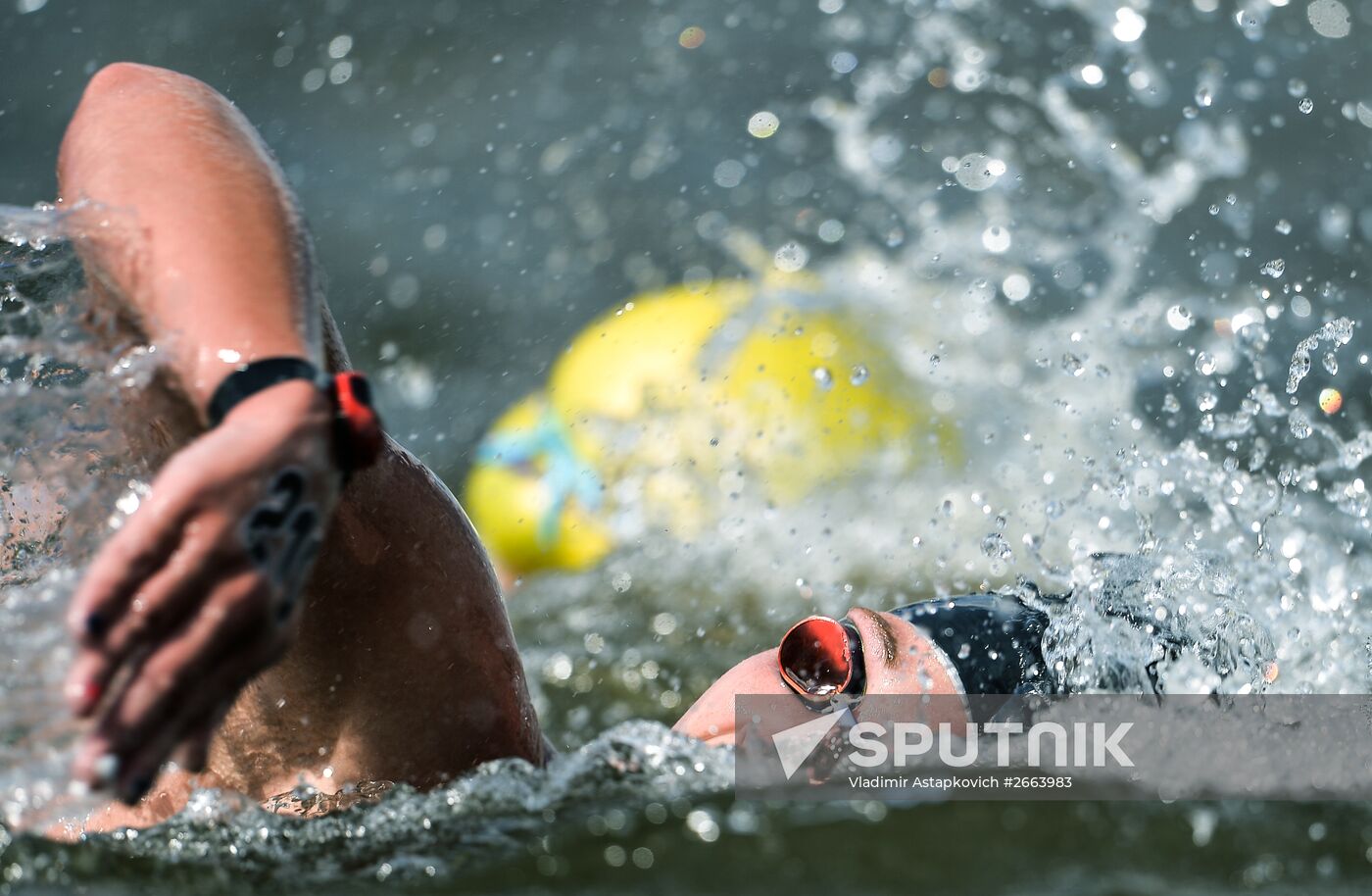 2015 FINA World Championships. Open water swimming. 5 km women