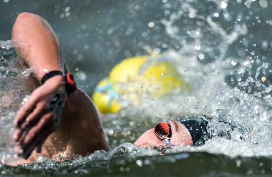 2015 FINA World Championships. Open water swimming. 5 km women