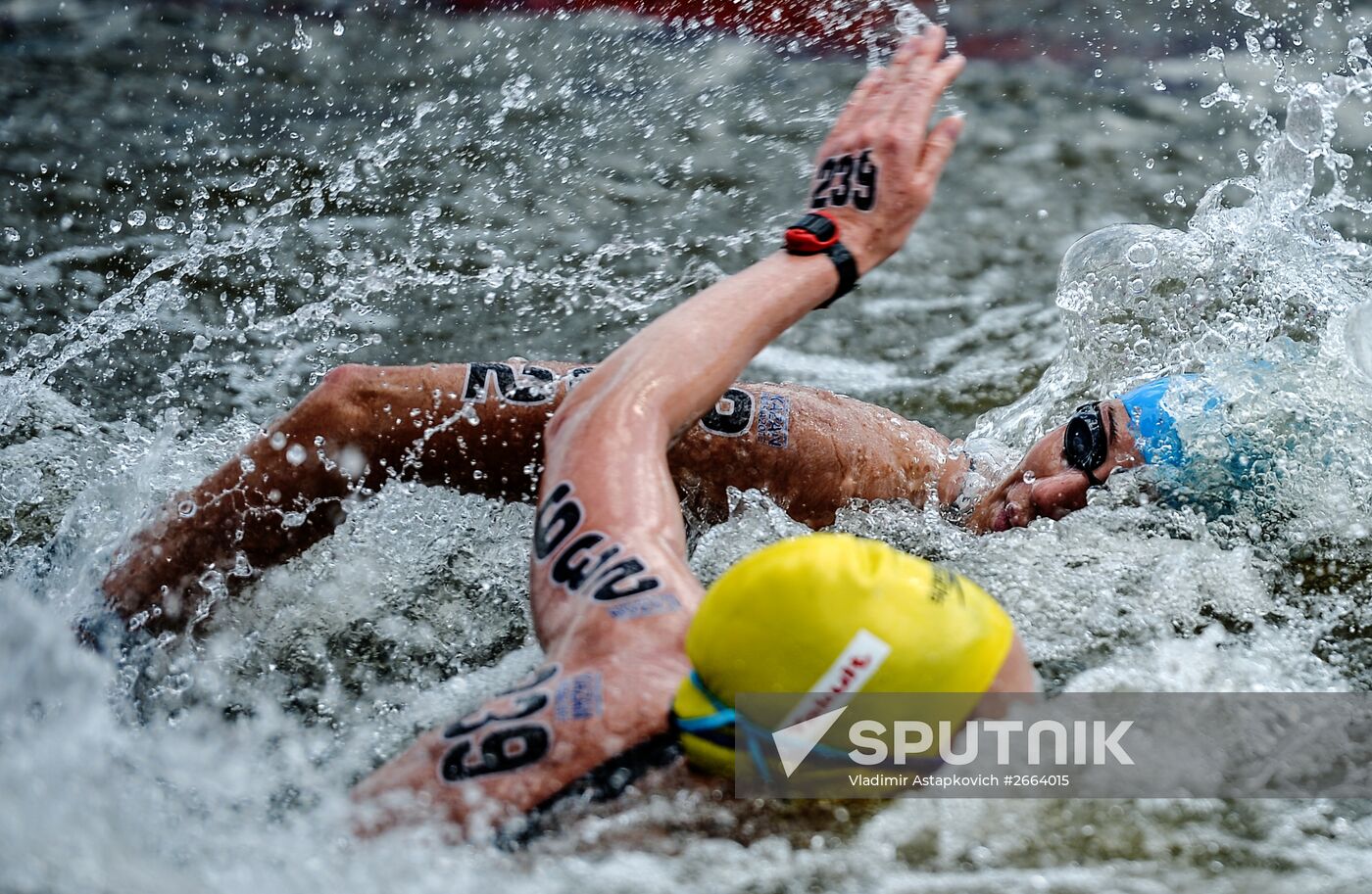 2015 FINA World Championships. Open water swimming. 5 km women