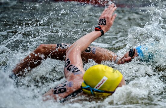 2015 FINA World Championships. Open water swimming. 5 km women