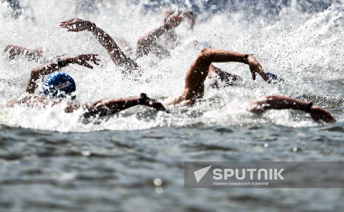 2015 FINA World Championships. Open water swimming. 5 km men