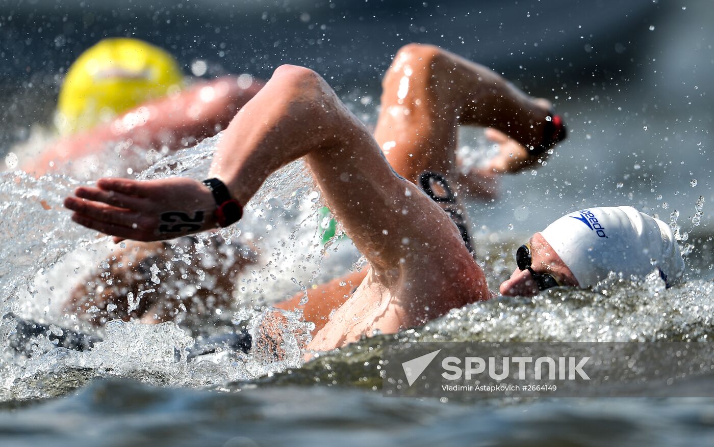 2015 FINA World Championships. Open water swimming. 5 km men