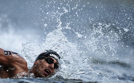 2015 FINA World Championships. Open water swimming. 5 km men