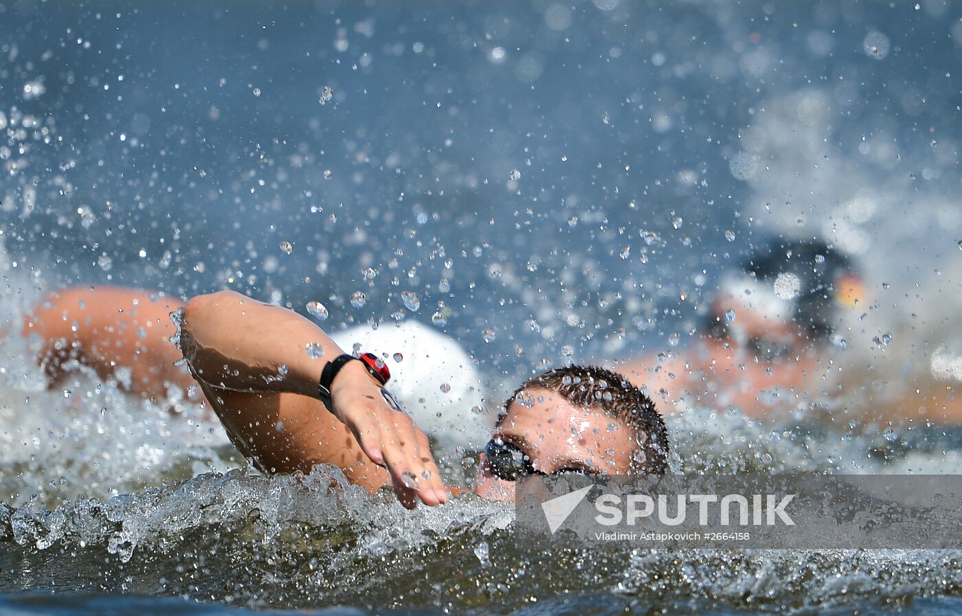 2015 FINA World Championships. Open water swimming. 5 km men