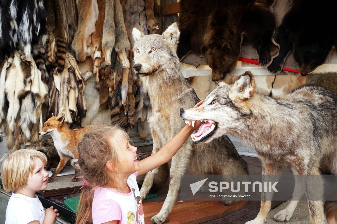 Viking festival in the Kaliningrad Area