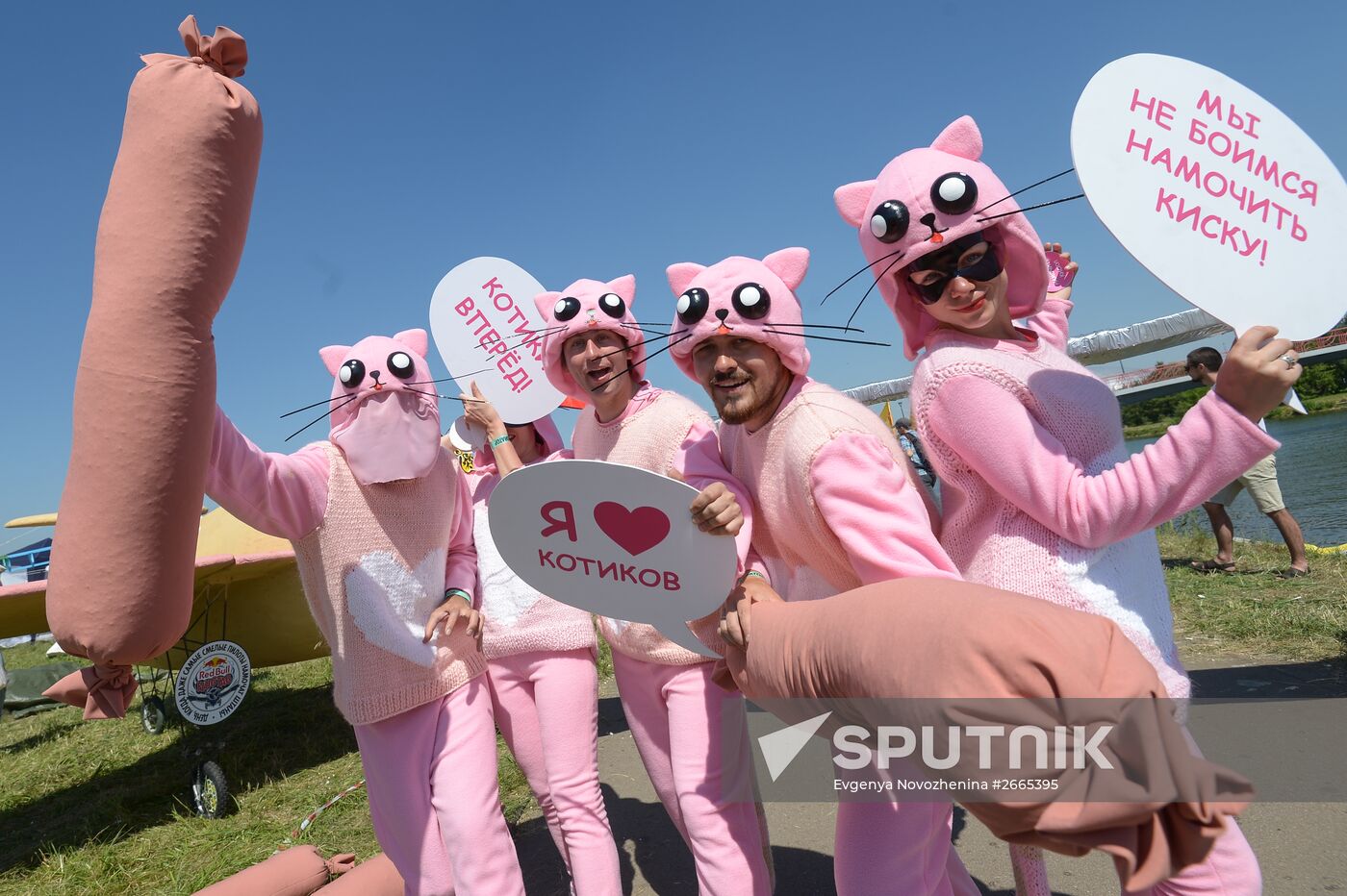 Red Bull Flugtag 2015 festival