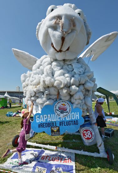 Red Bull Flugtag 2015 festival
