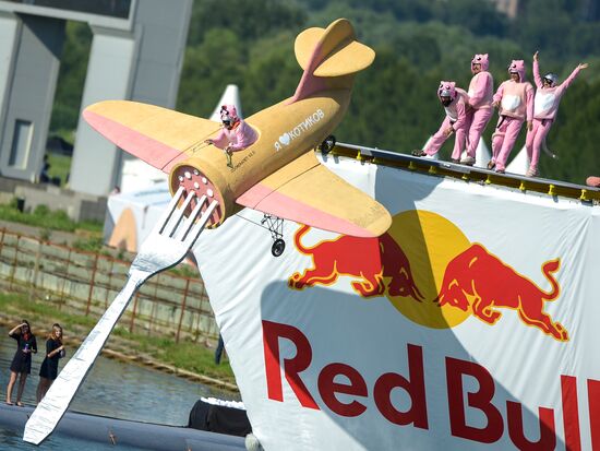 Red Bull Flugtag 2015 festival